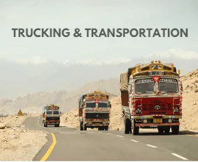 Ashok Leyland